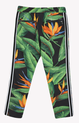 Dolce & Gabbana Multicolor Cotton Jeans & Pant